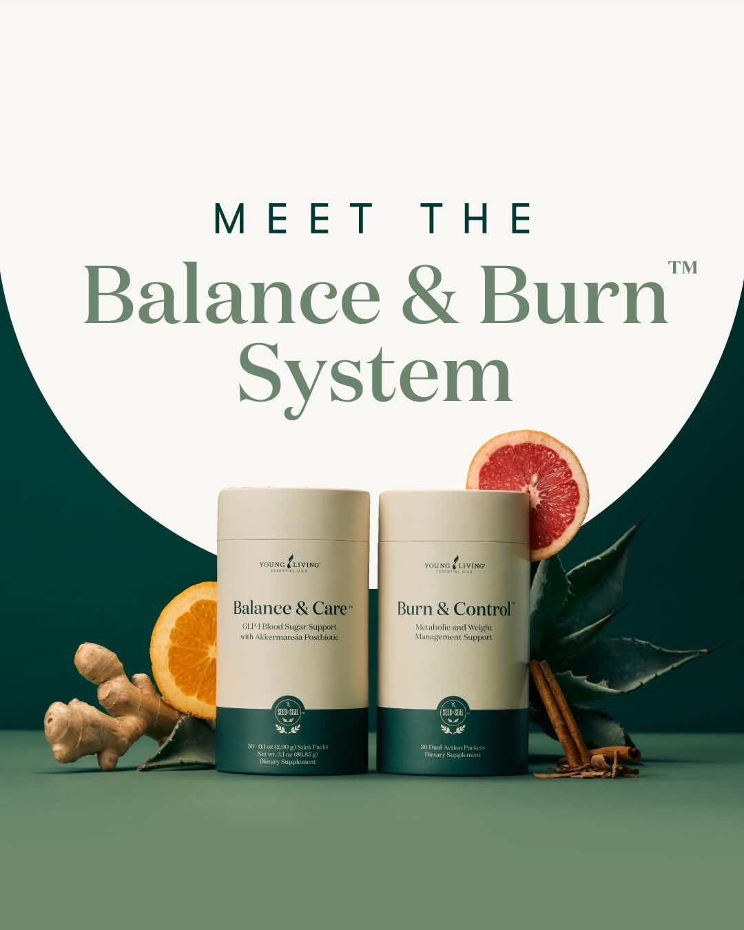 Young Living's Balance & Burn System for plant-based GLP-1 support.